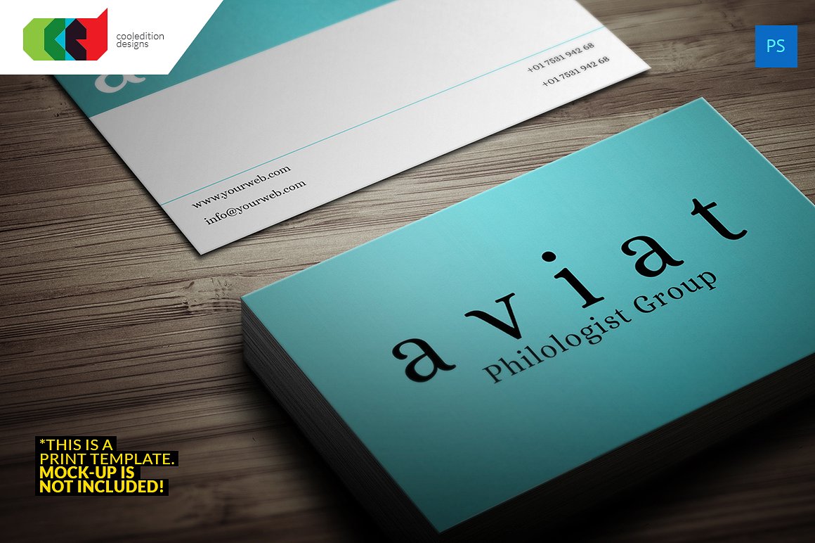 现代简约商务名片模板Modern Business Card