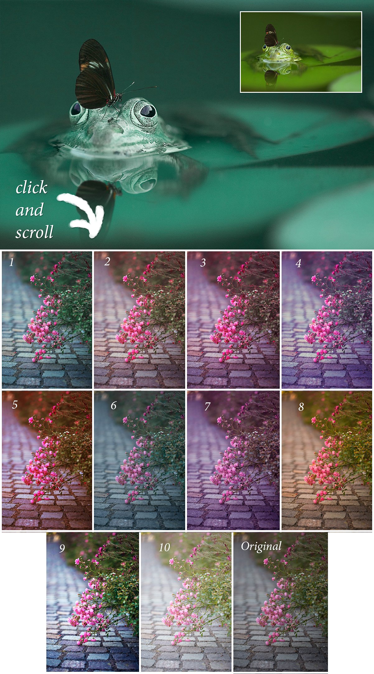 Nature Photoshop Actions