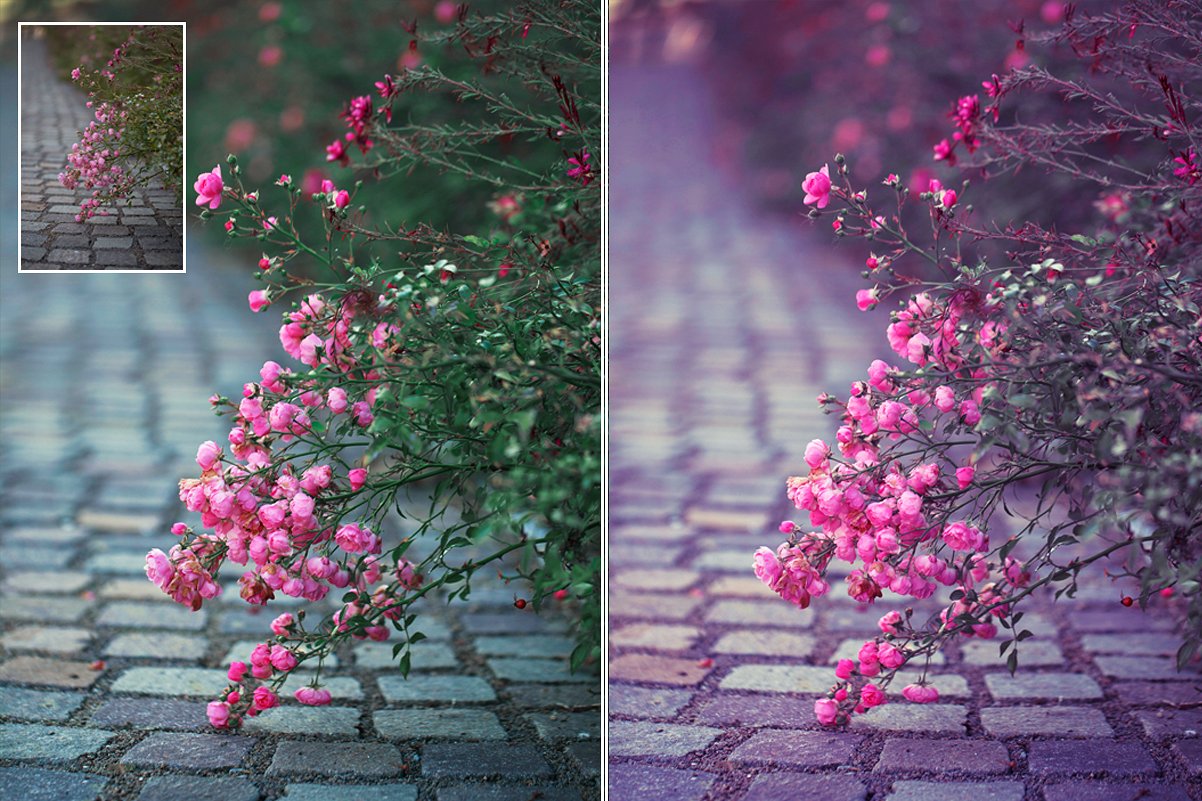 Nature Photoshop Actions