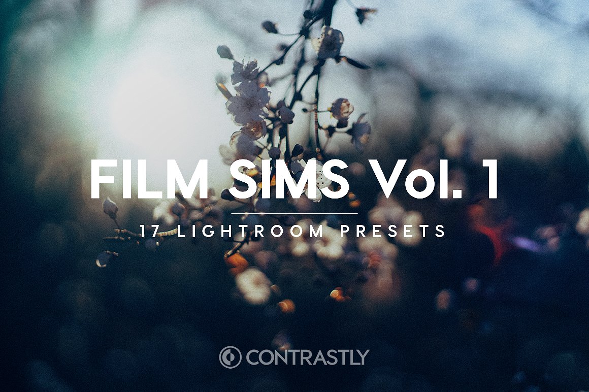 电影模拟LR预设Film Sims Vol. 1 Light