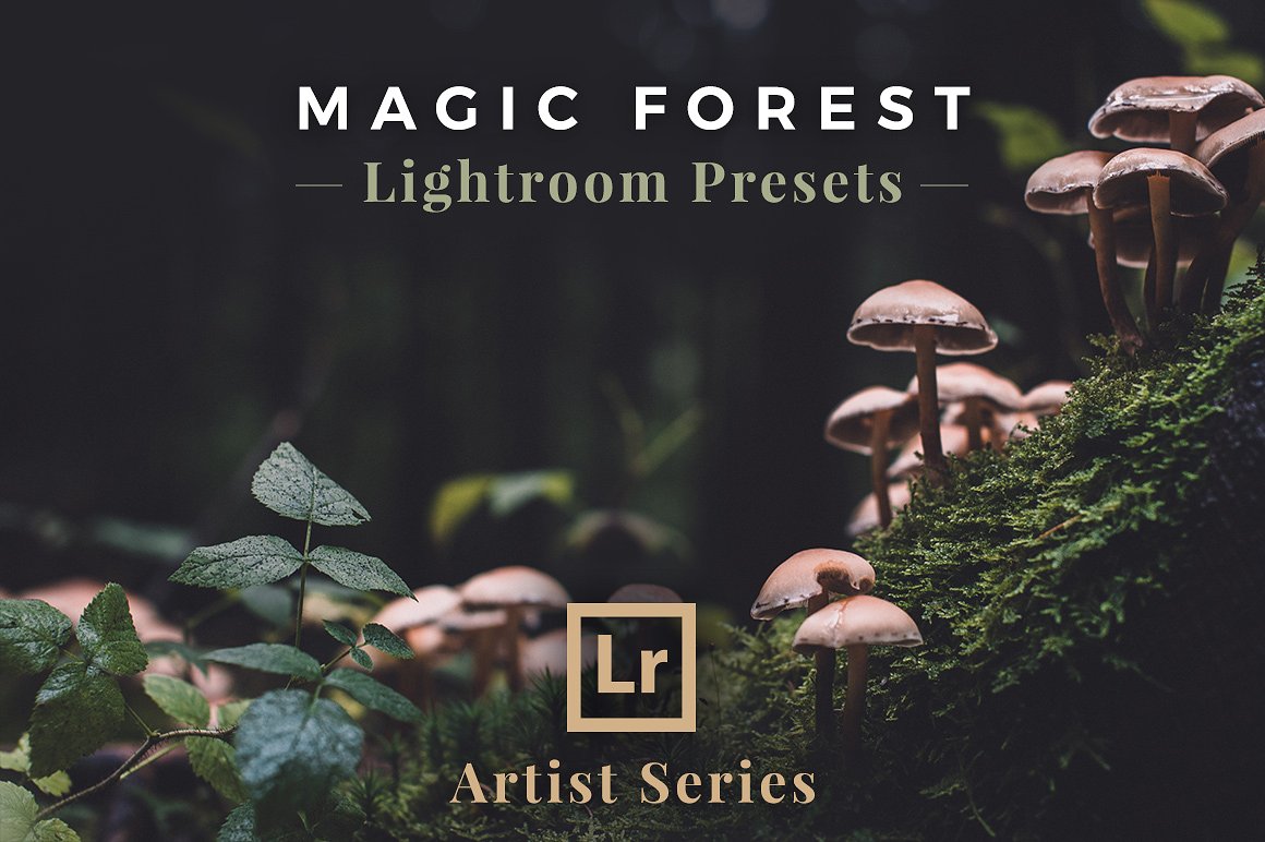 魔法梦幻森林LR预设Magic Forest, Lightr