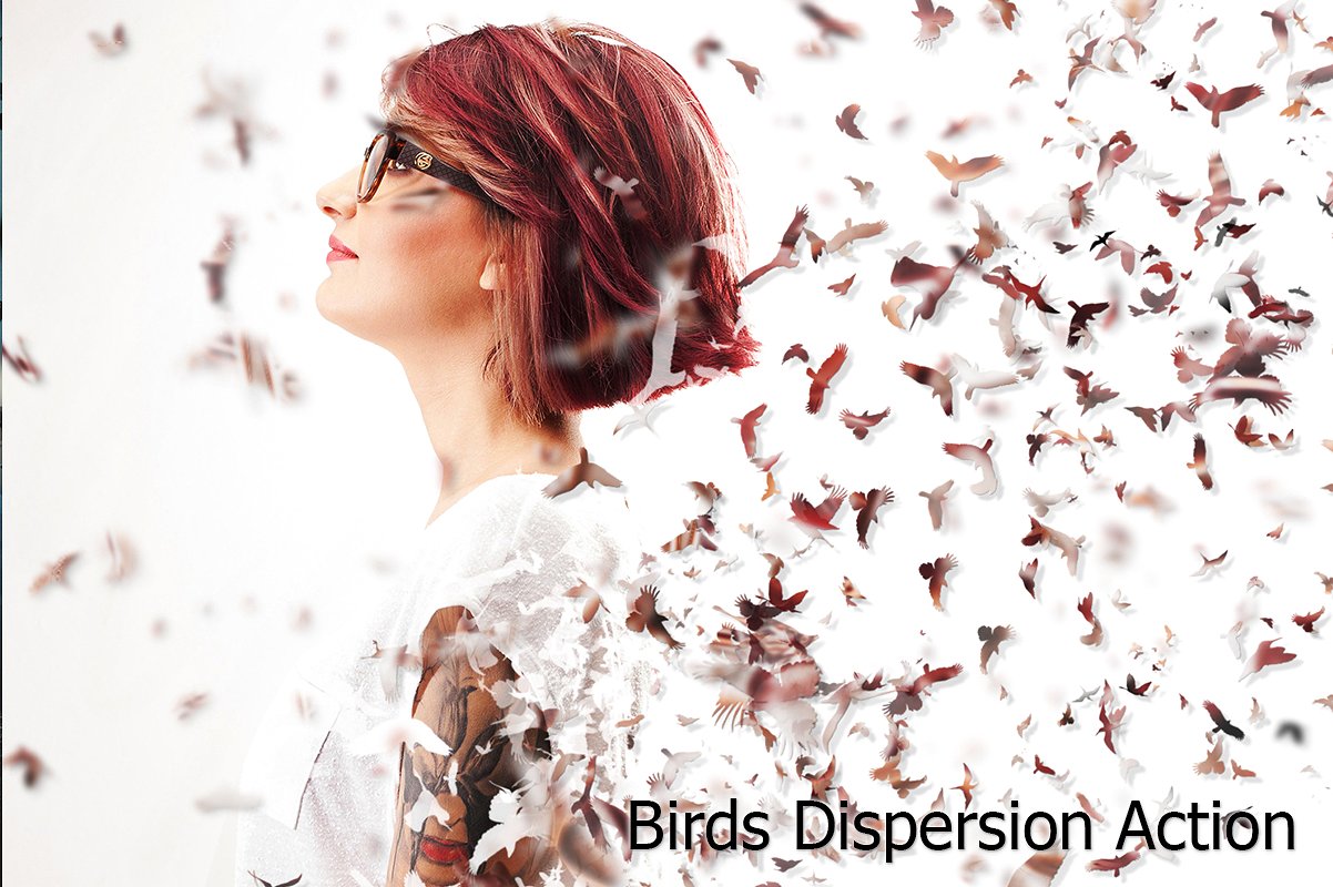 鸟类分散PS动作Birds Dispersion Actio