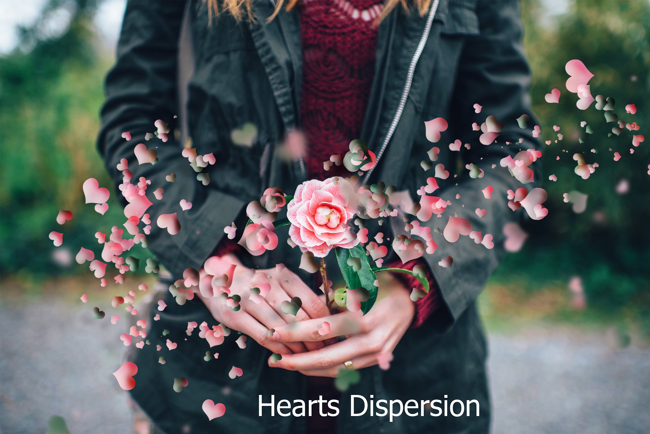 花朵分散成爱心图形效果PS动作Hearts Dispersi