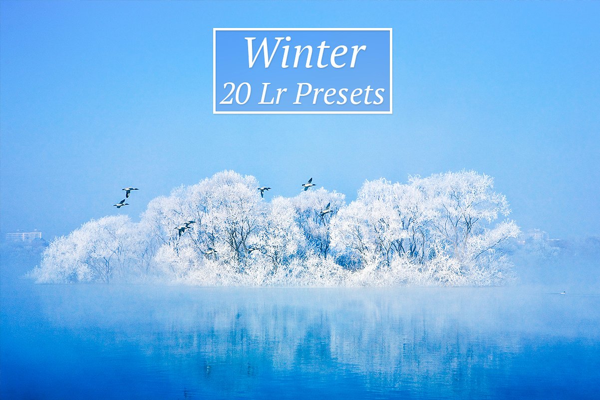 20款冬季LR预设20 Winter Lr Presets