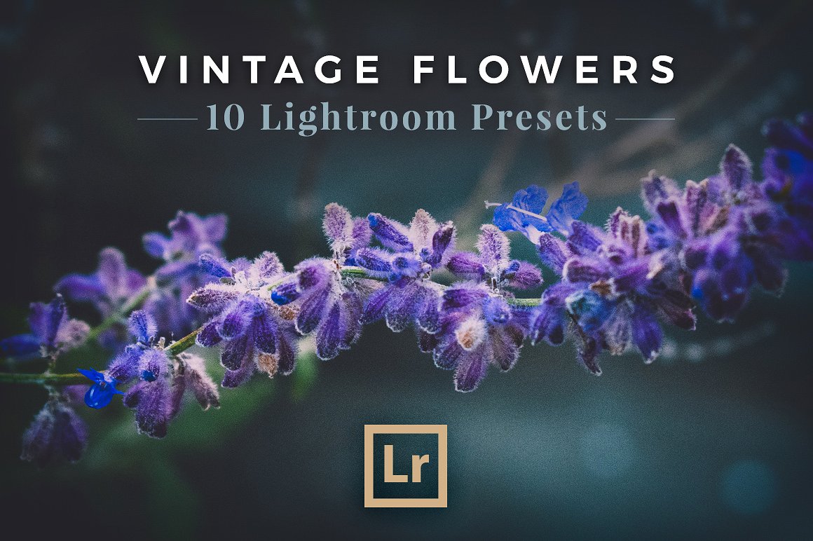 复古色调花卉植物LR预设Vintage Flowers -