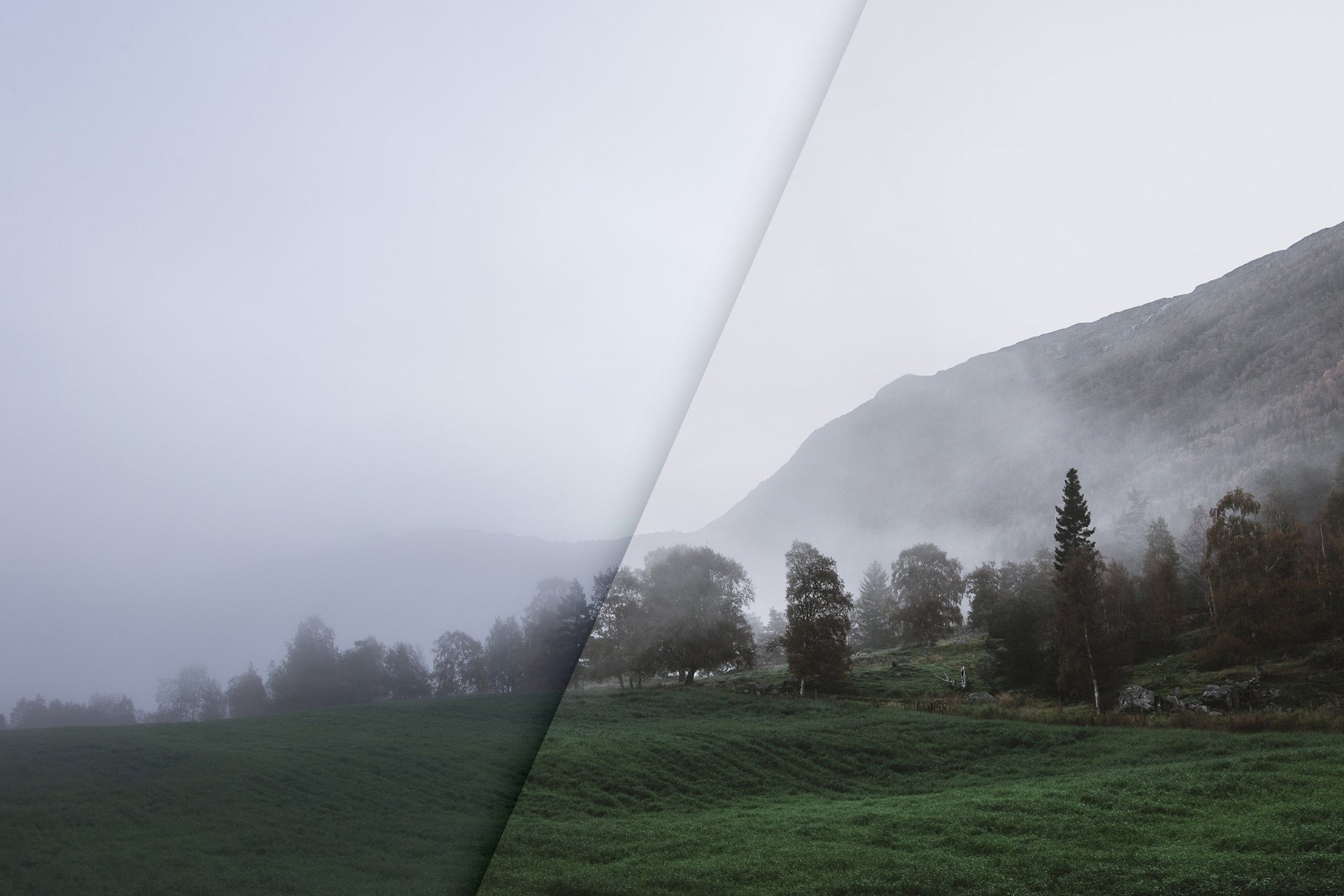 Moody Landscapes - Lightroom P