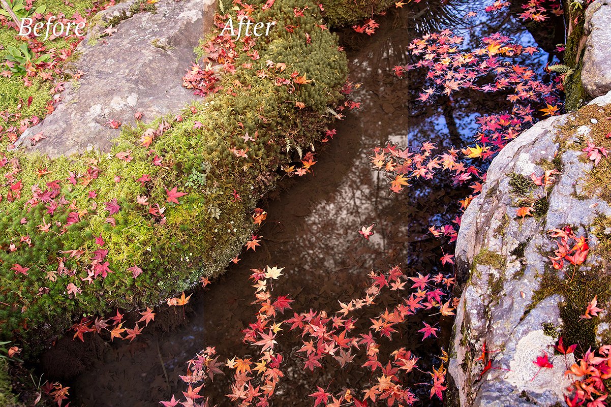 20款秋季Lr预设20 Autumn Lr Presets