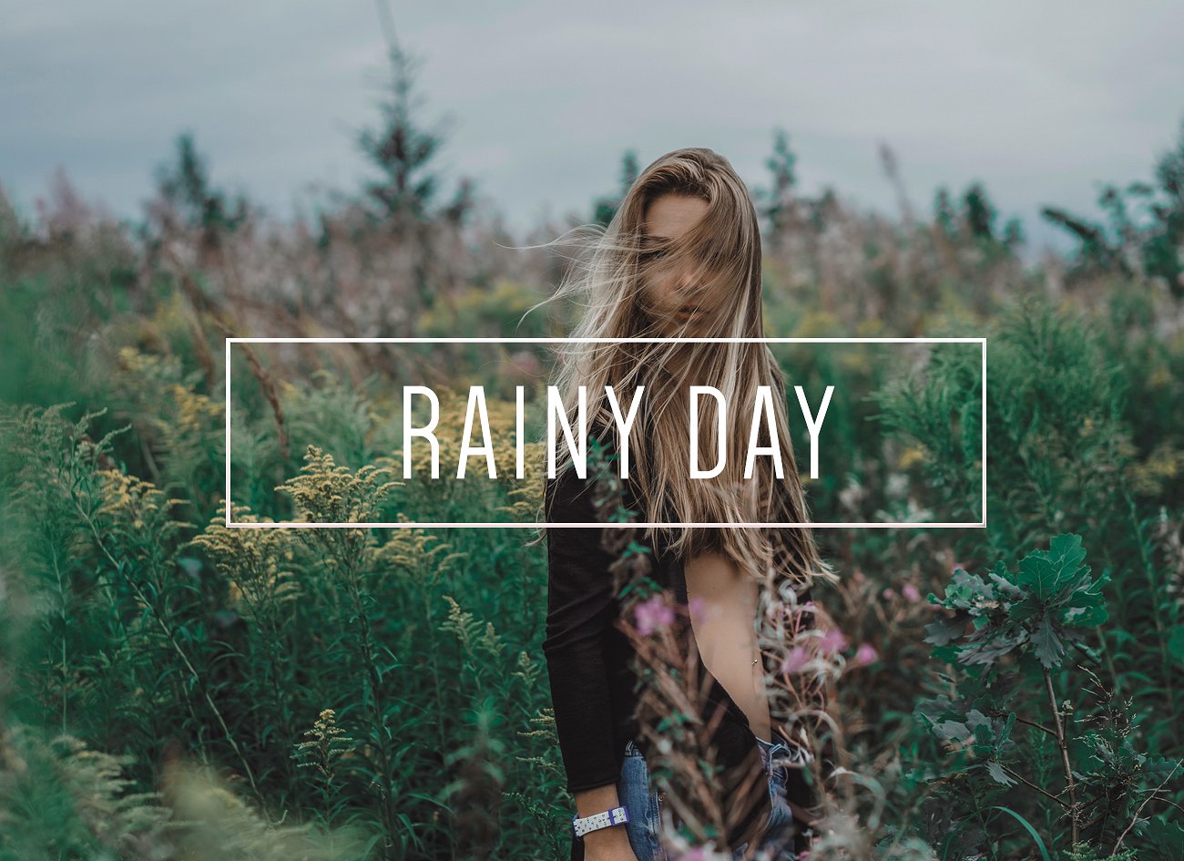 独立缪斯柔和的雨天色调LR预设Rainy Day LR Pr