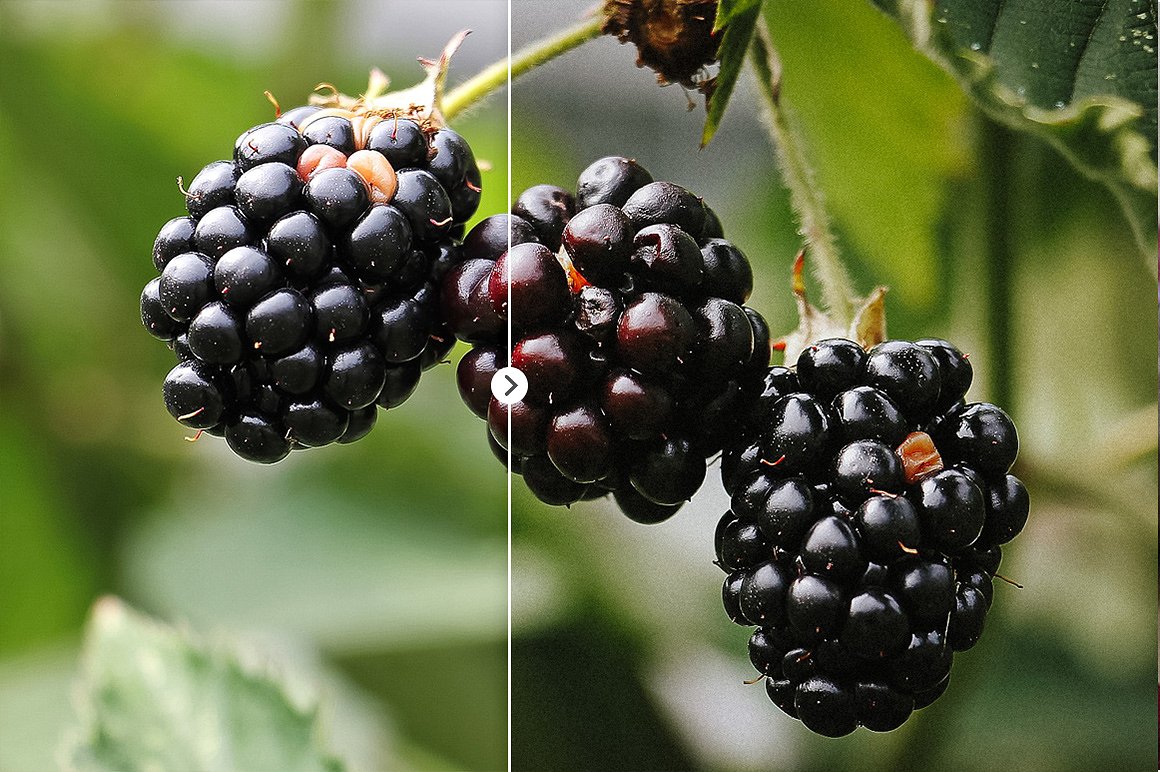 精心制作的水果蔬菜摄影LR调色预设素材 Fruit &