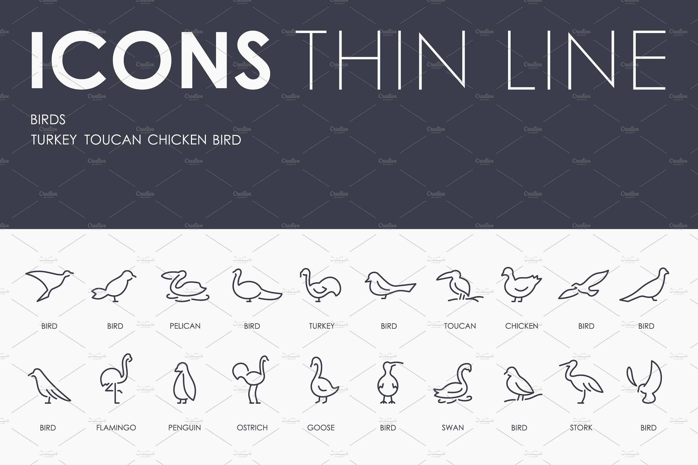 Birds thinline icons