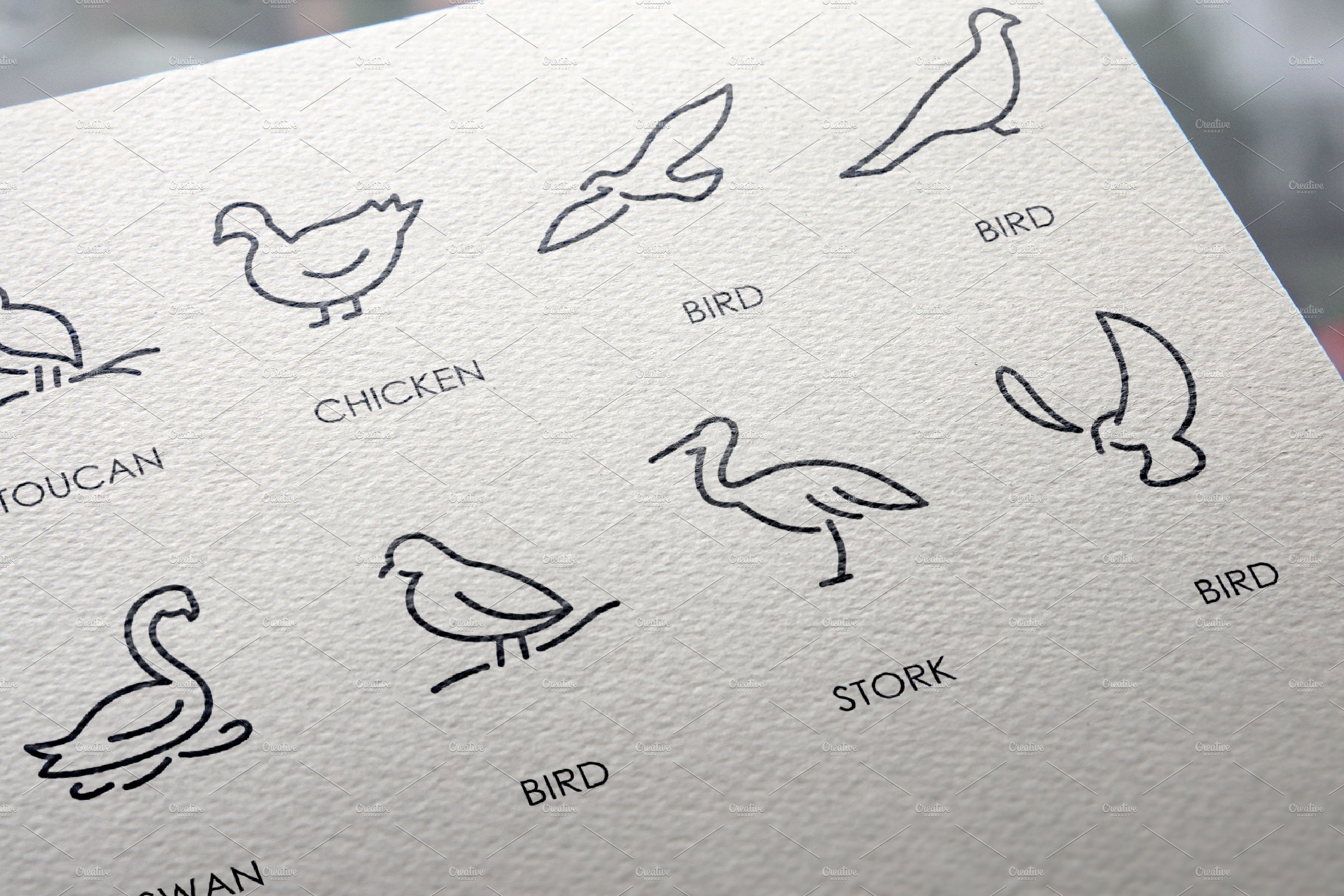 Birds thinline icons