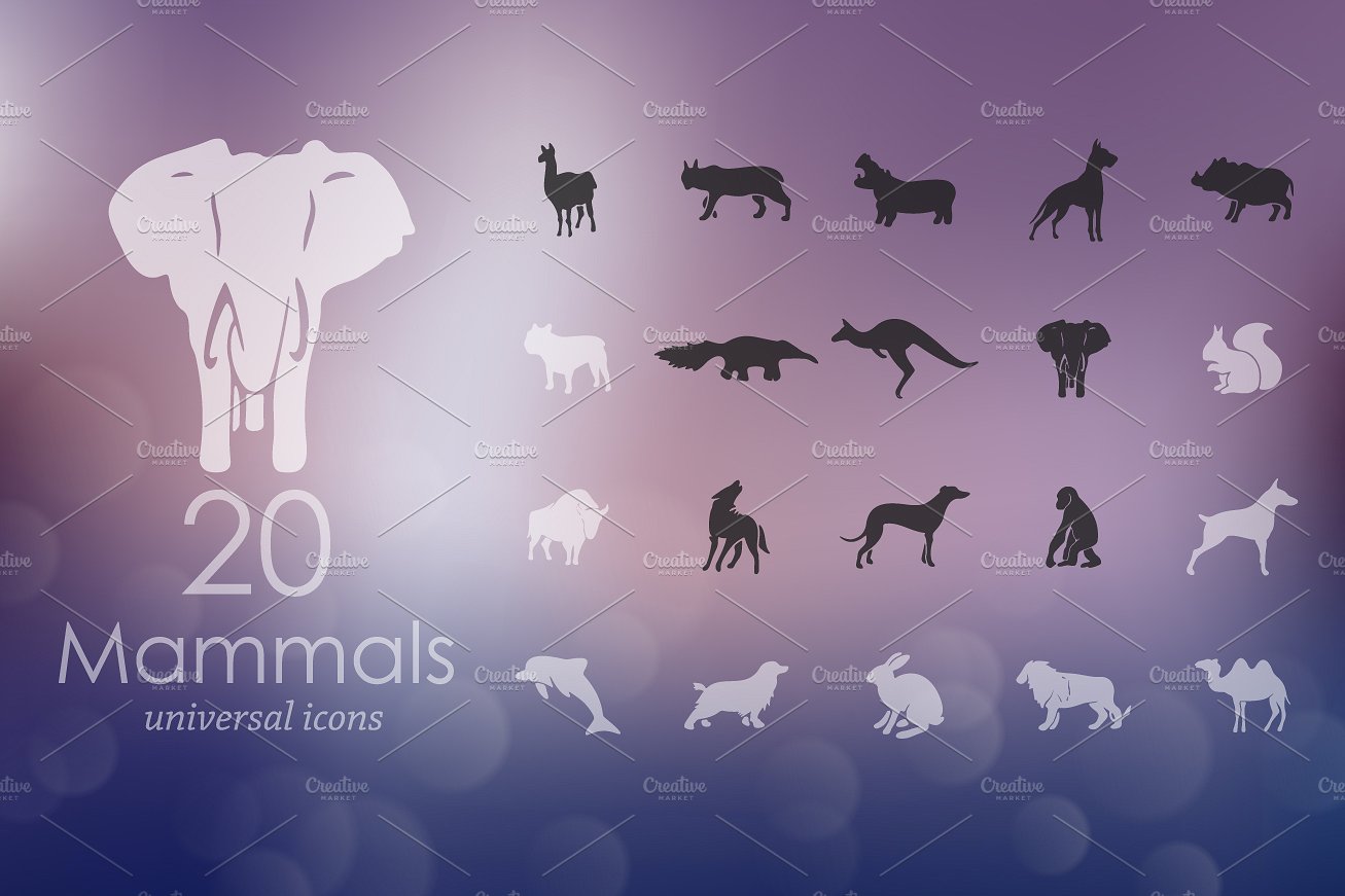 20 MAMMALS icons