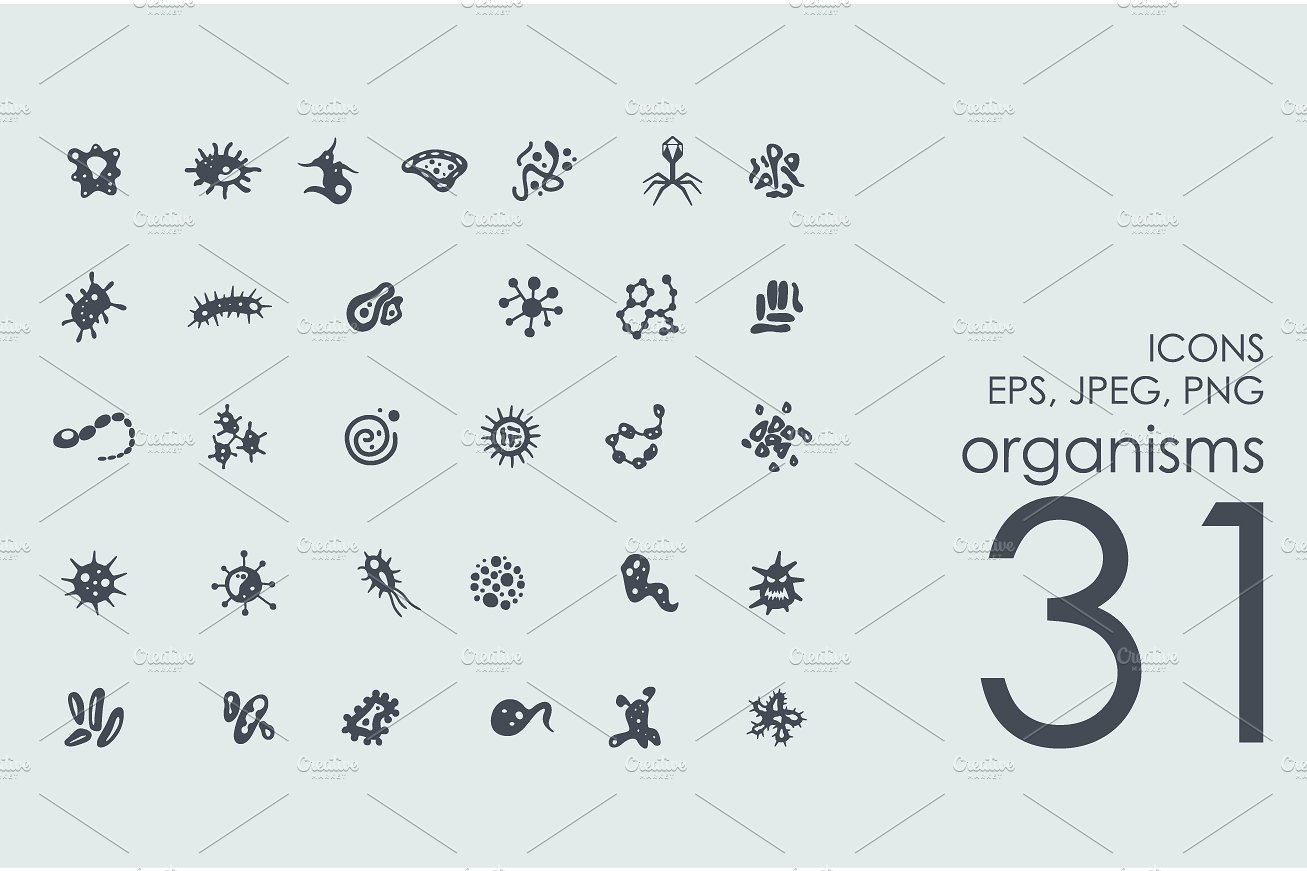 31 organisms icons