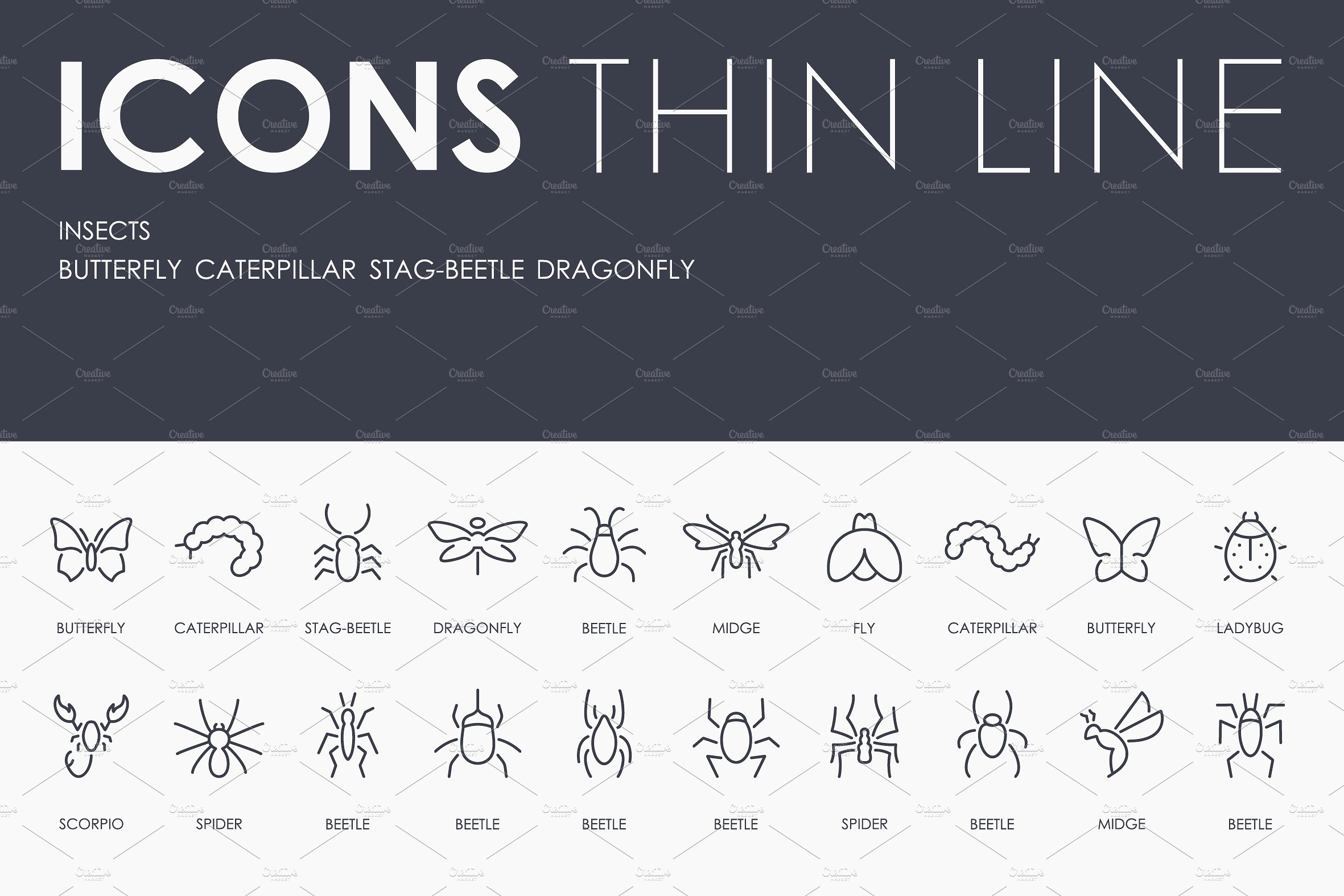 Insects thinline icons