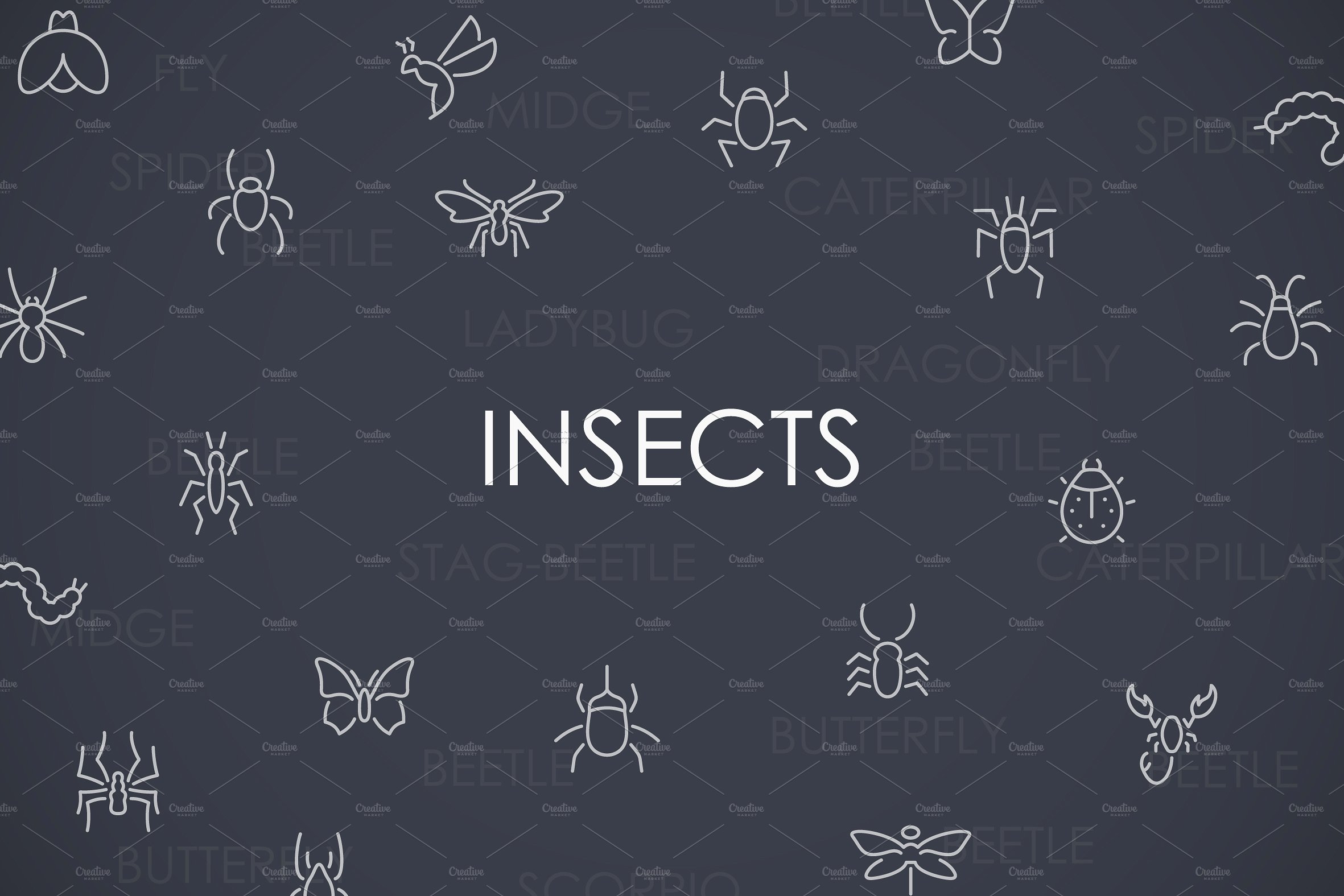 Insects thinline icons