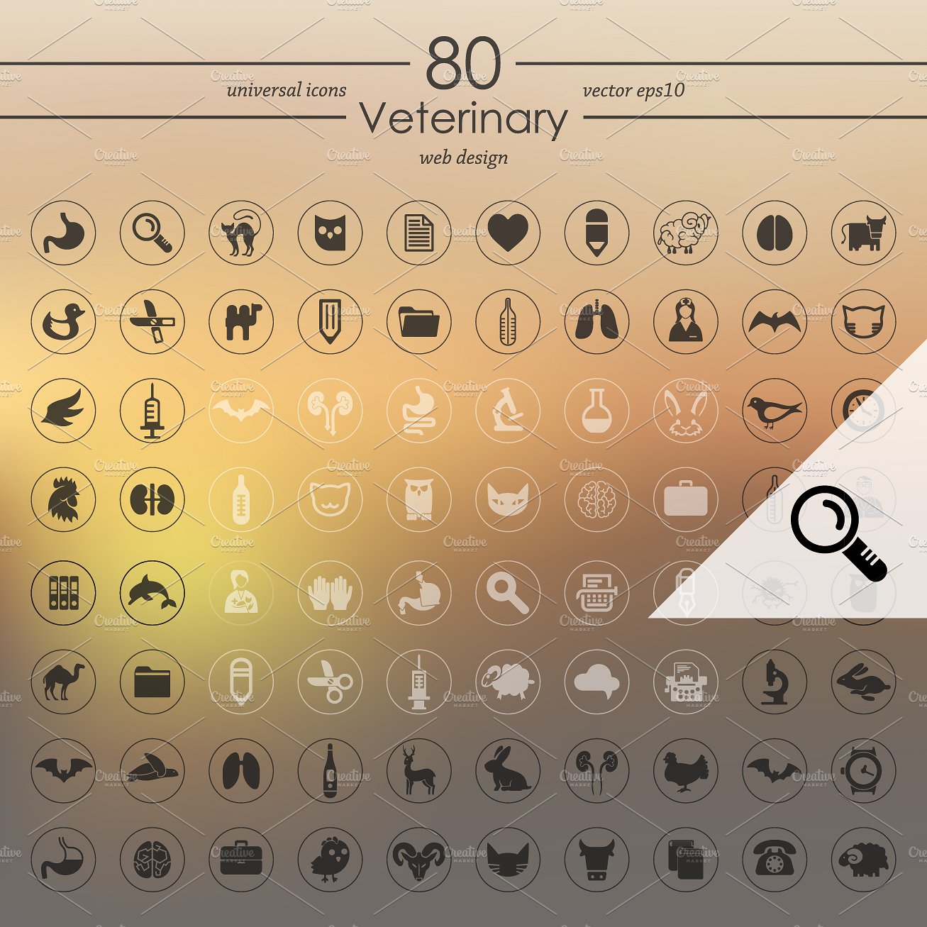 80 VETERINARY icons