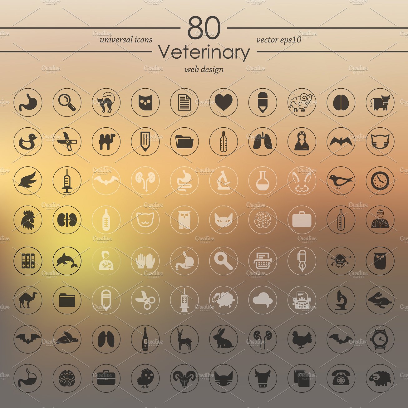 80 VETERINARY icons