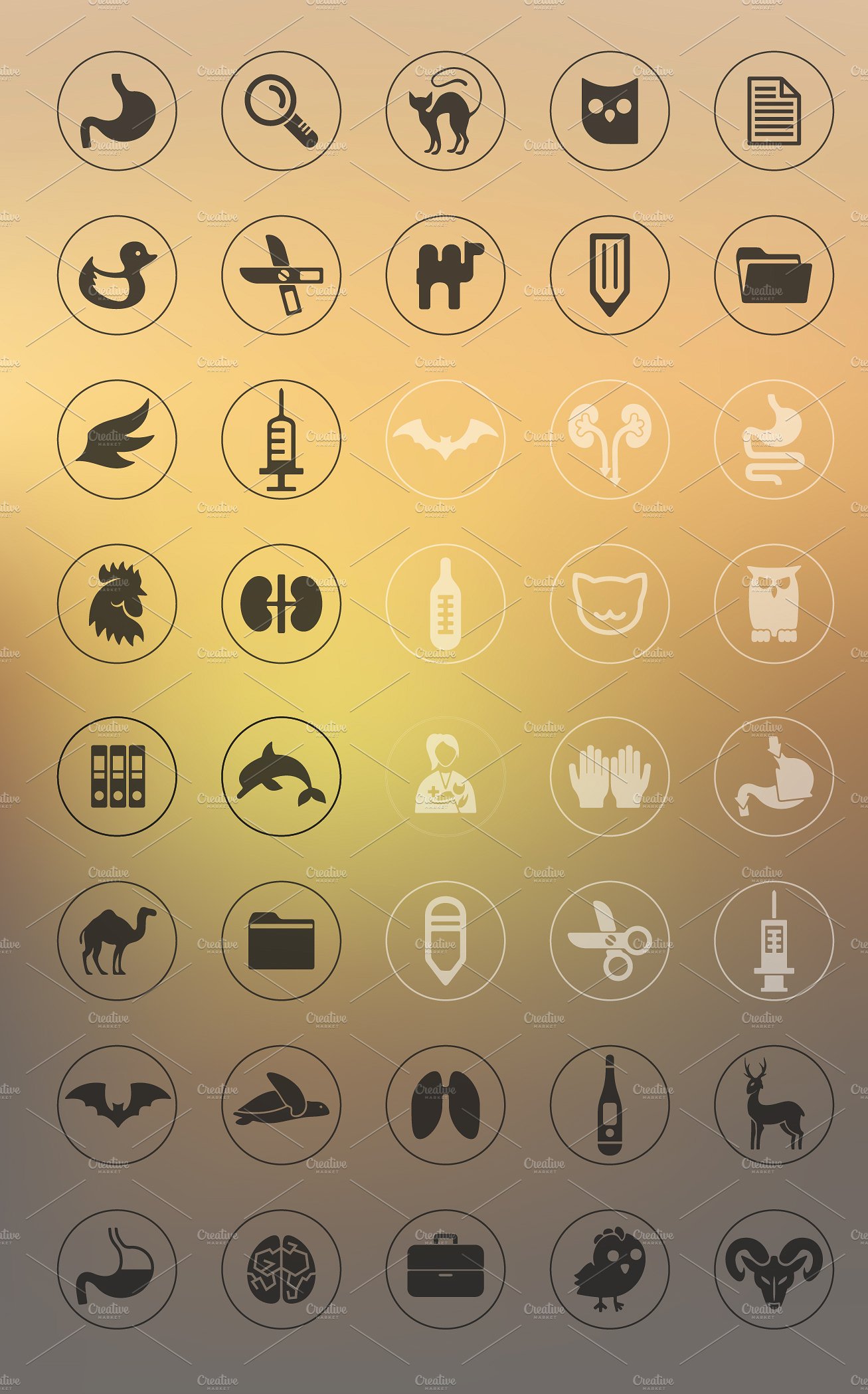 80 VETERINARY icons