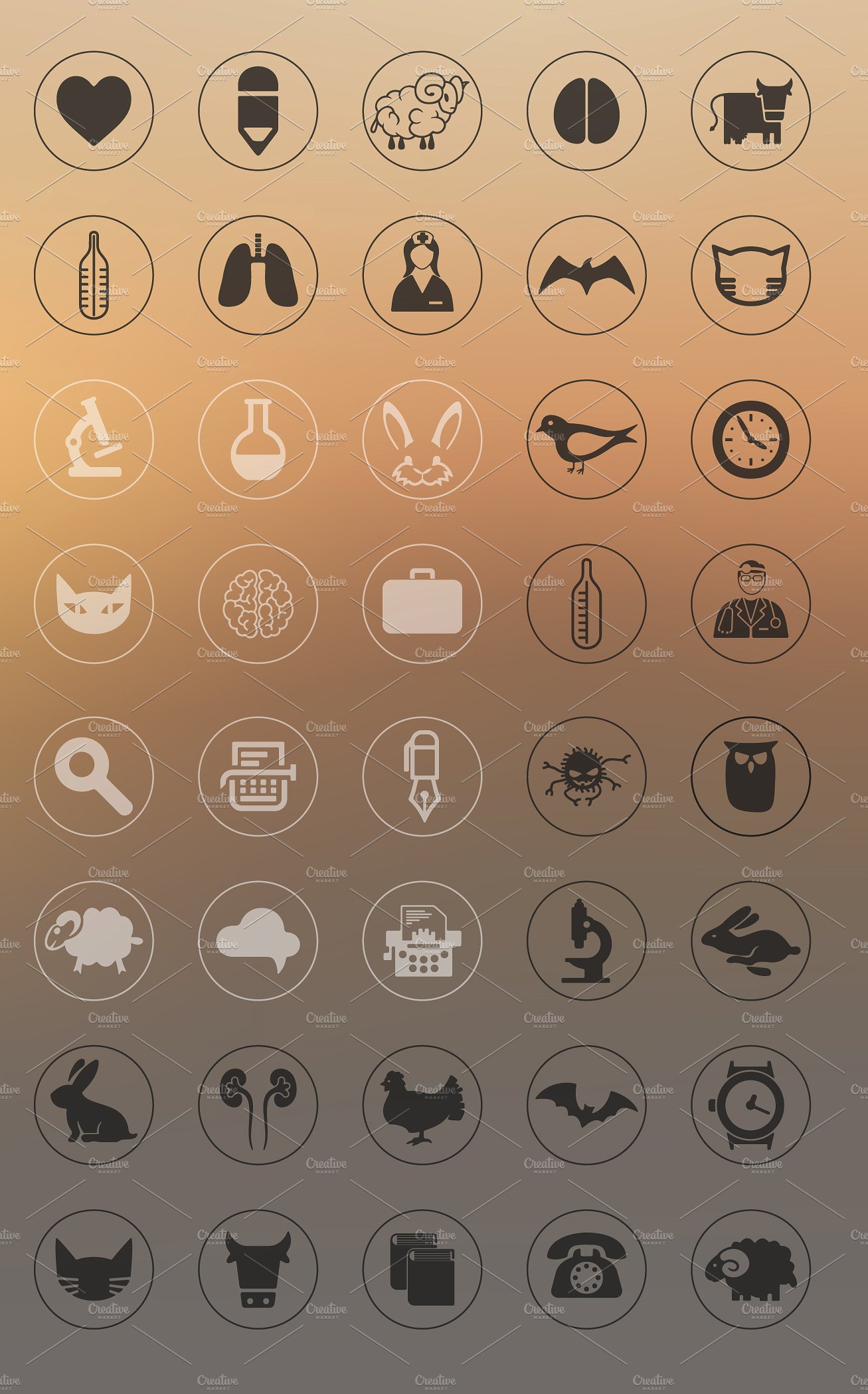 80 VETERINARY icons