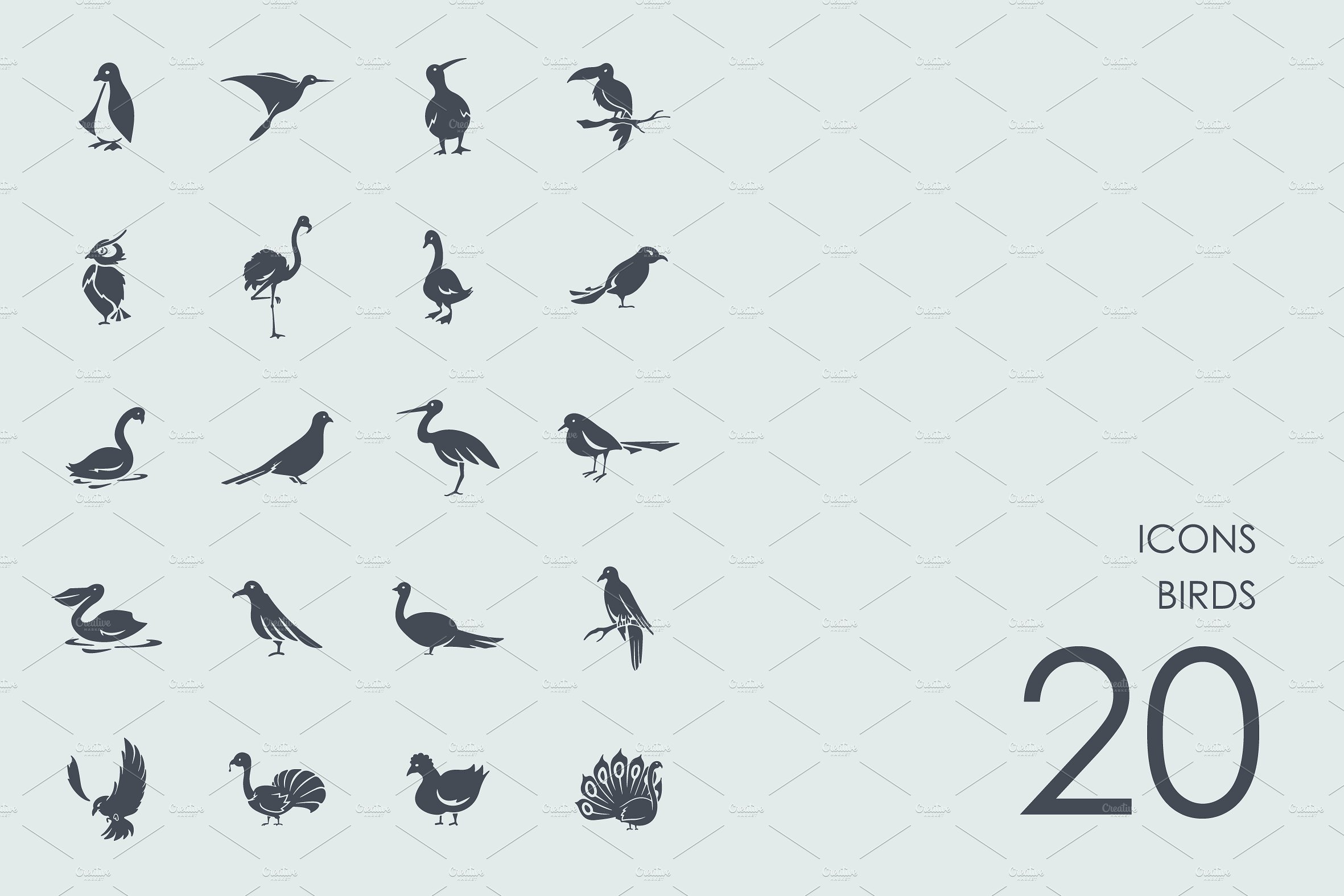 Birds icons