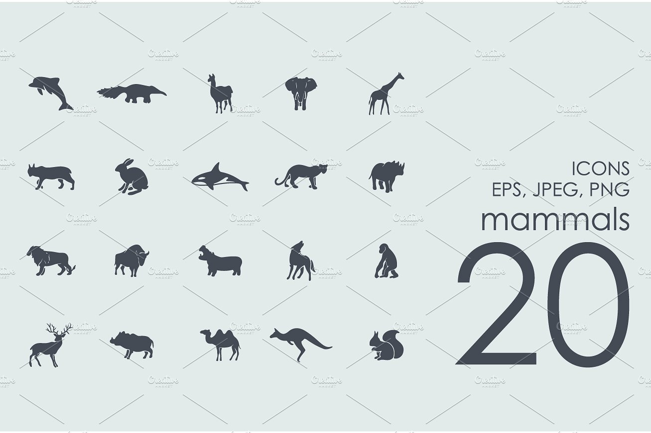 20 mammals icons