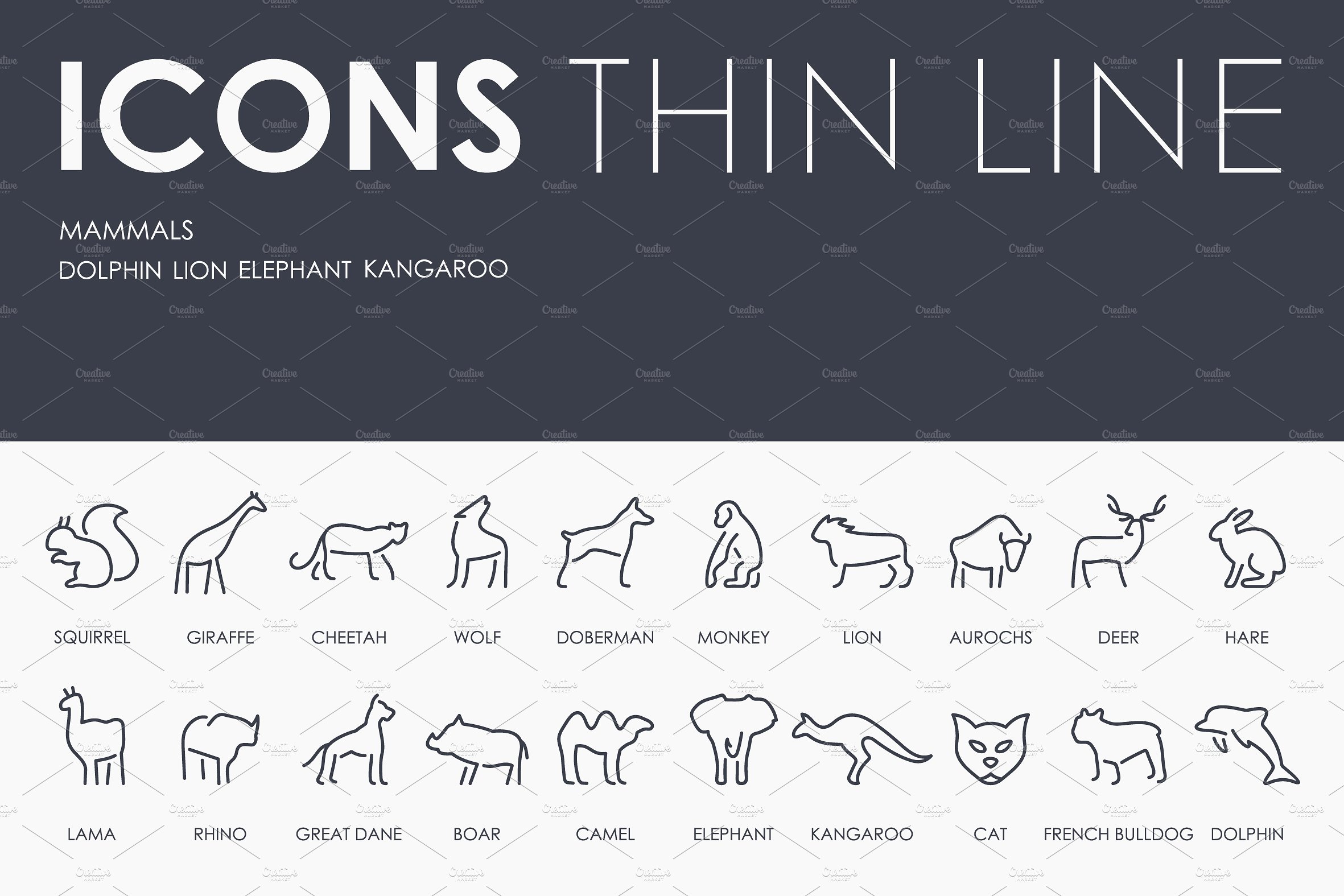 Mammals thinline icons