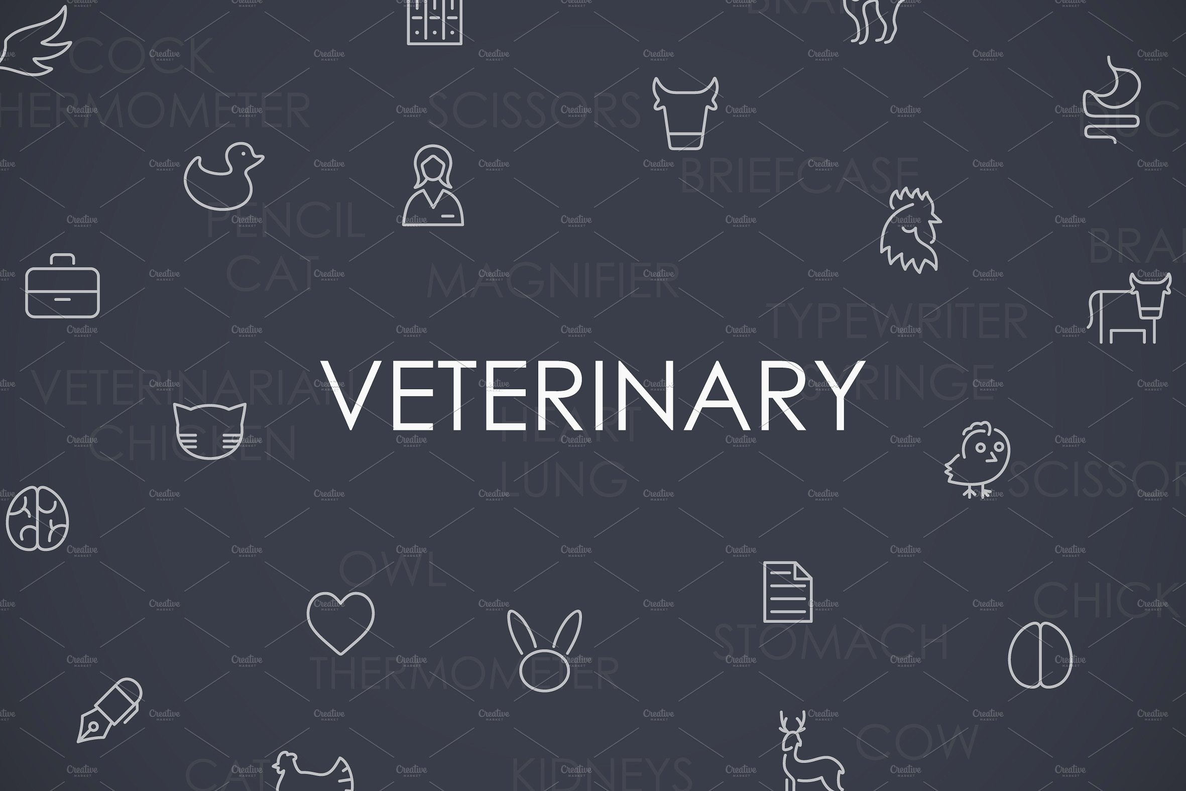 Veterinary thinline icons