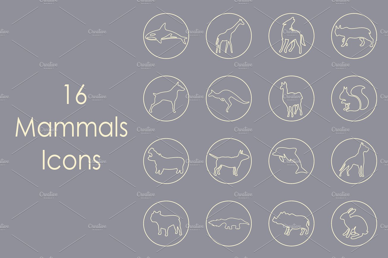 16 MAMMALS simple icons