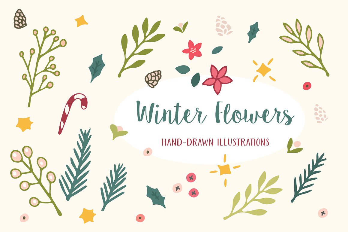 手绘植物图案无缝背景Winter Flowers Chris