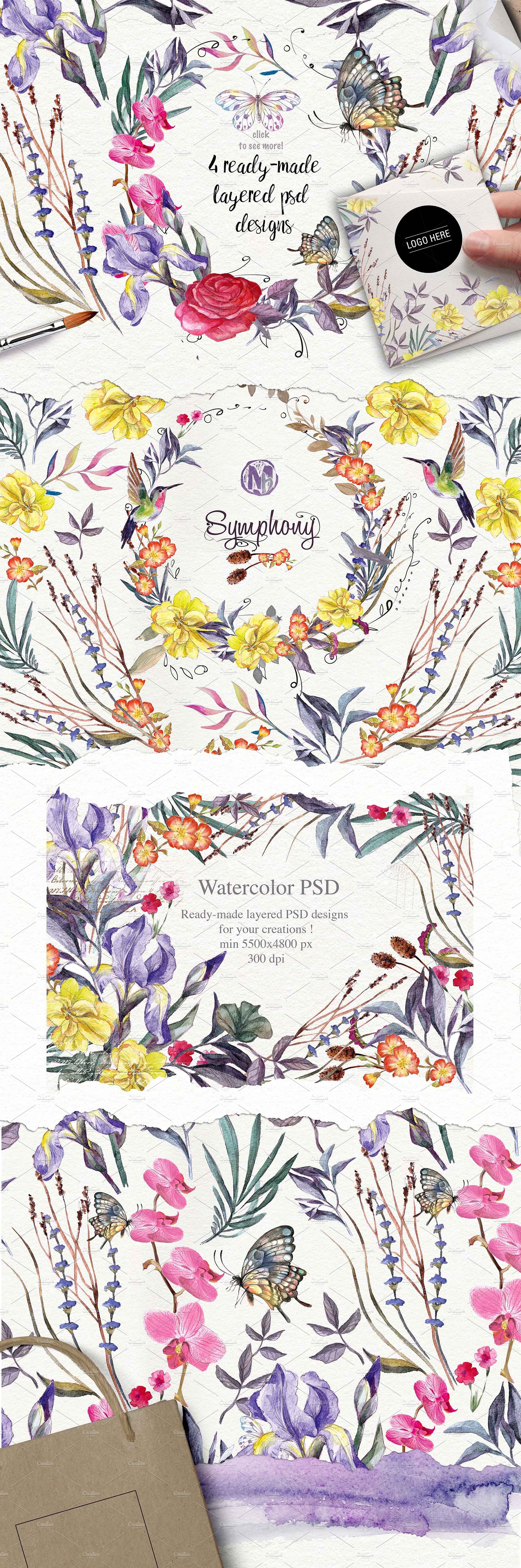 手绘水彩花卉植物设计素材Wildflowers pack 7