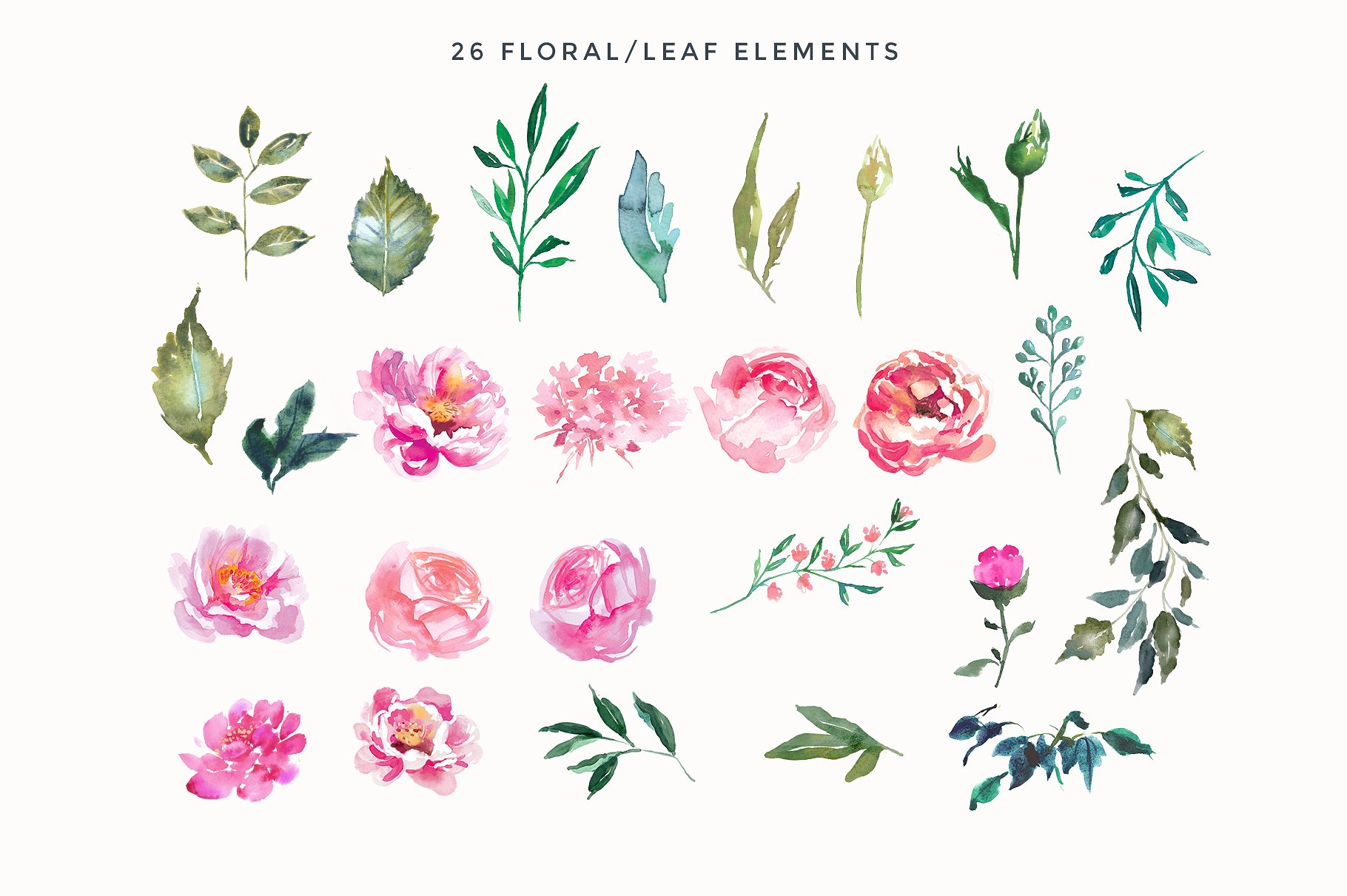 手绘水彩植物花卉设计素材Peonies Pink Flowe