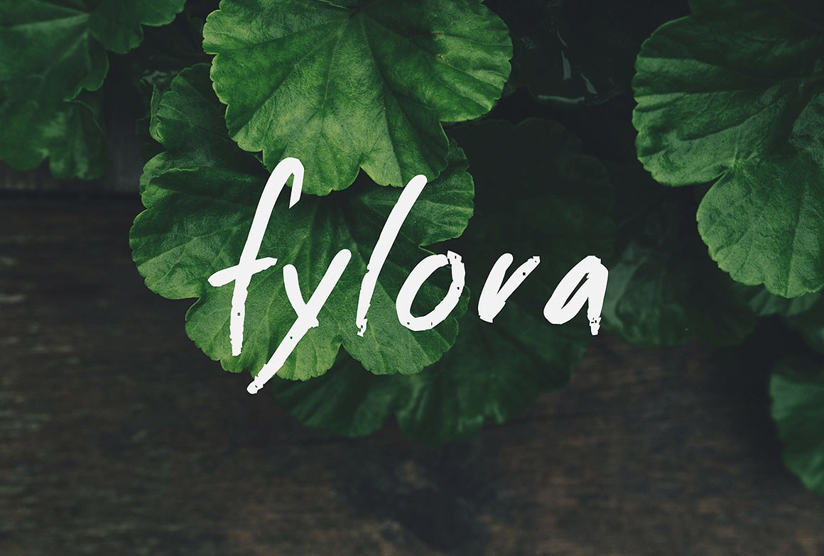 FYLORA Lookbook Powerpoint Tem