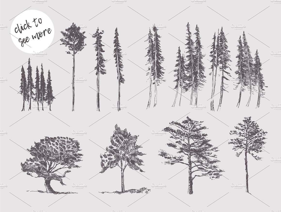 Set of trees illustrations