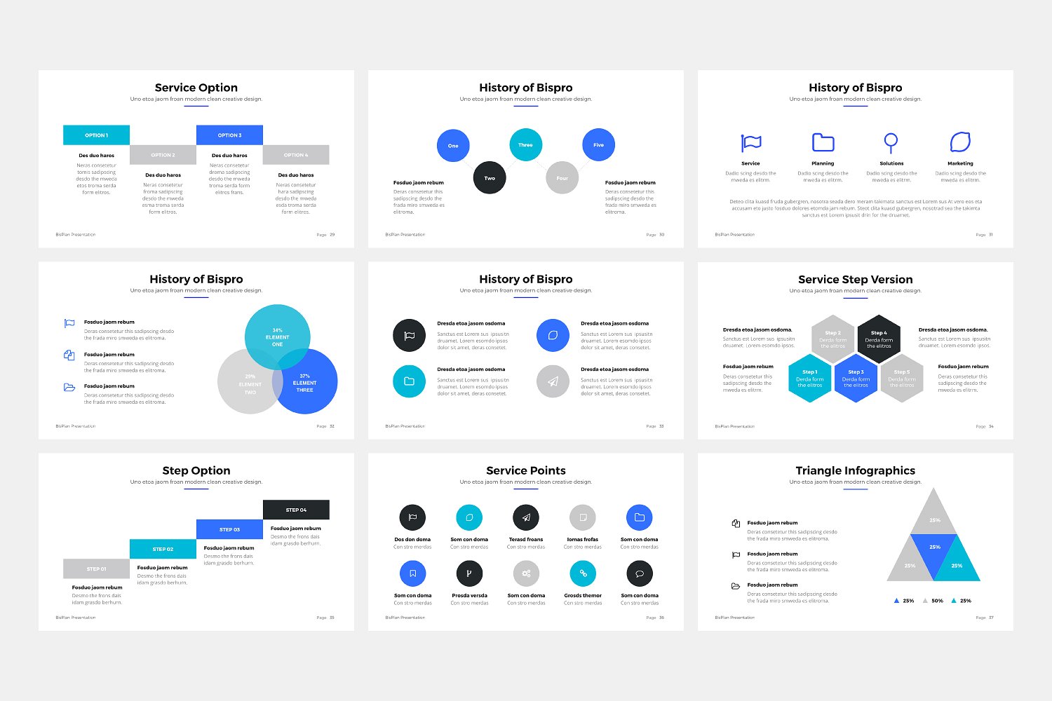 BizPro. Google Slides Template