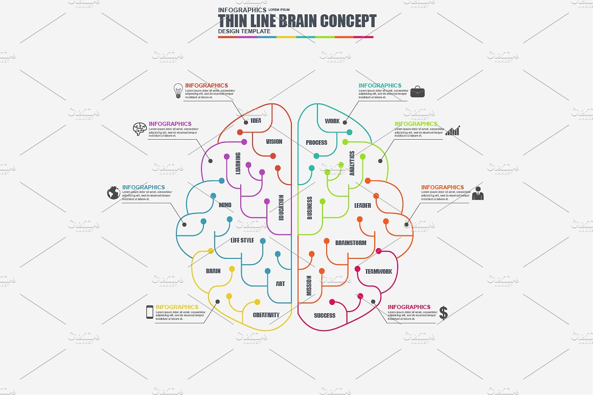 Thin Line Business Infographic