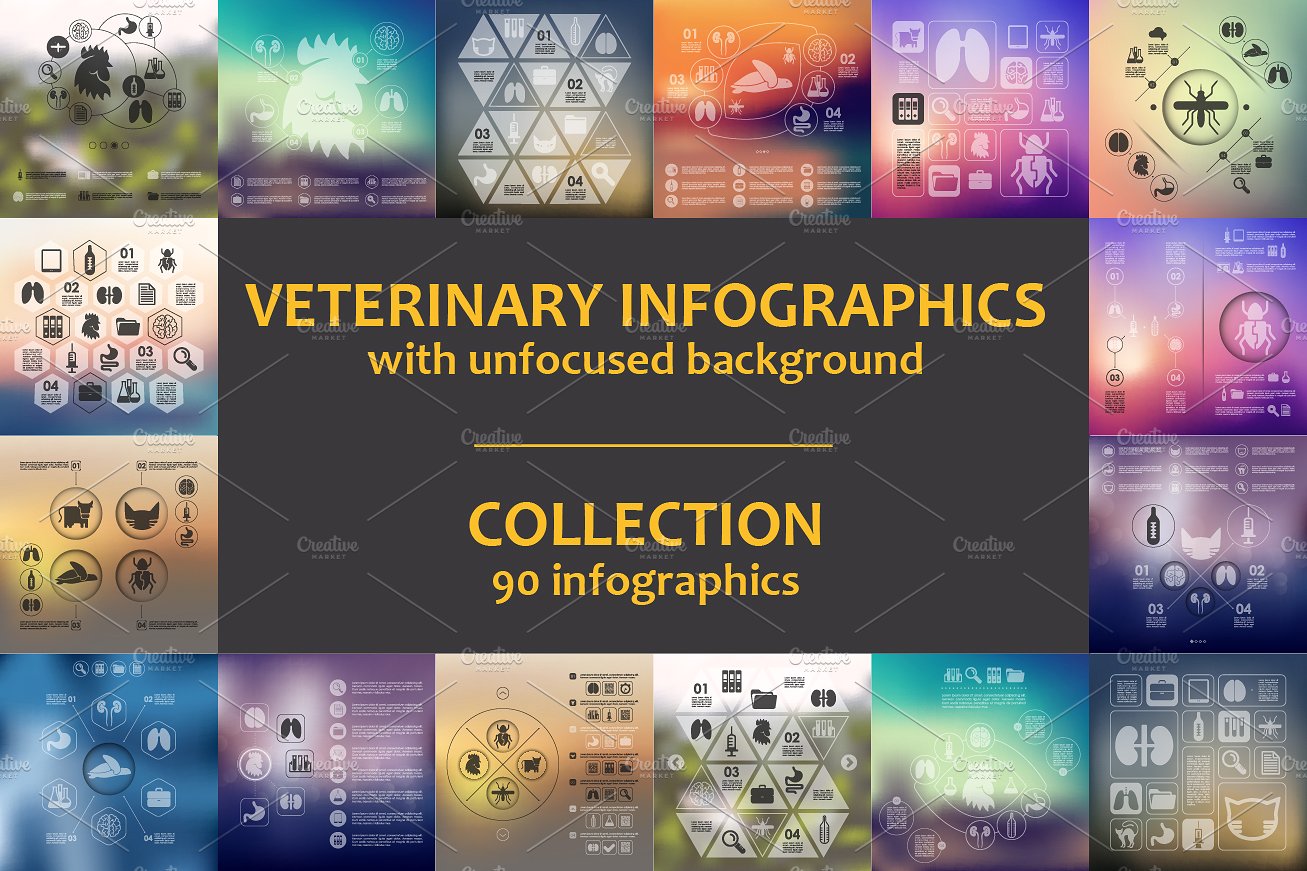 90 VET INFOGRAPHICS. Collectio