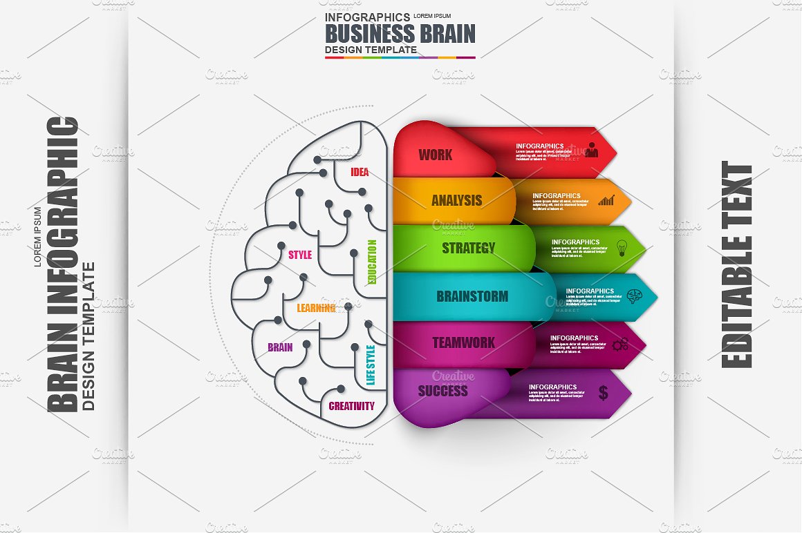 Infographics Brain Vector Desi