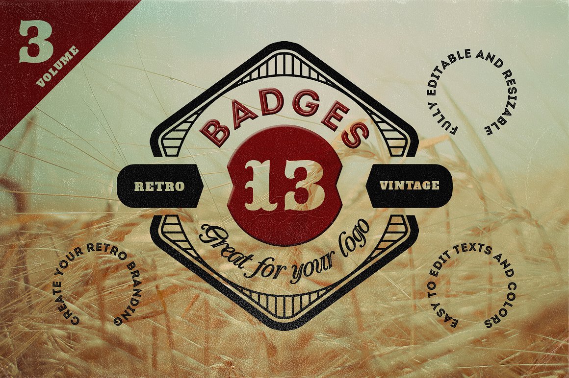 徽章标志设计素材13 Retro Signs or Badg