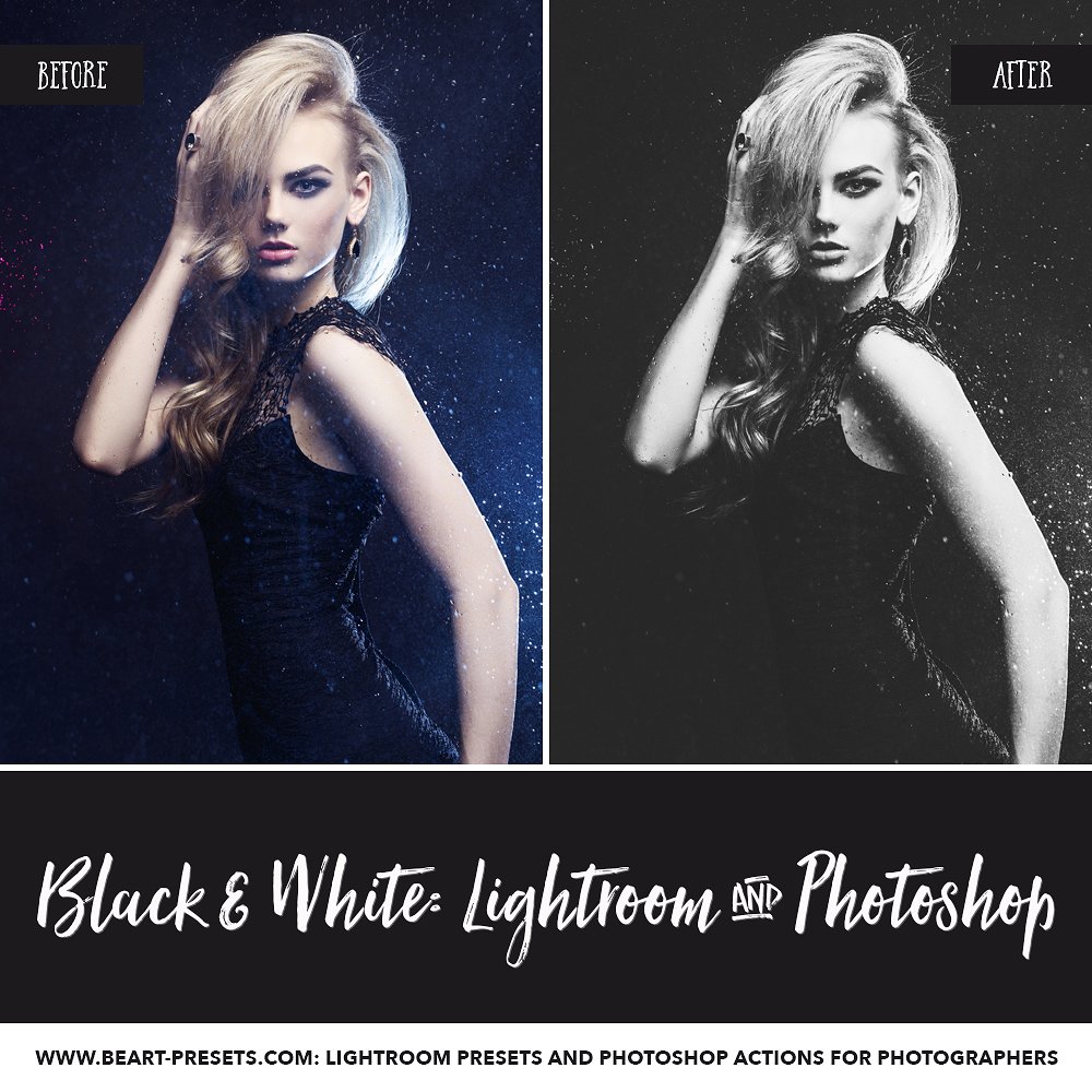 Black White Presets for Lightr