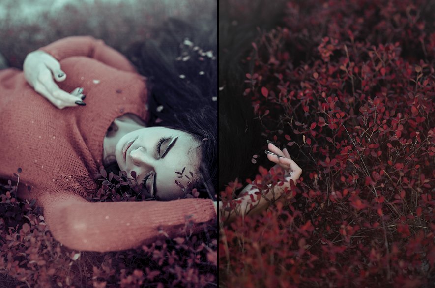 100 Fairytale Lightroom Preset