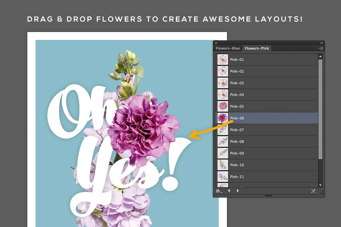 鲜花排版设计素材FlowerType for Illustr