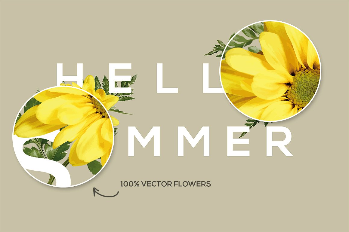 鲜花排版设计素材FlowerType for Illustr