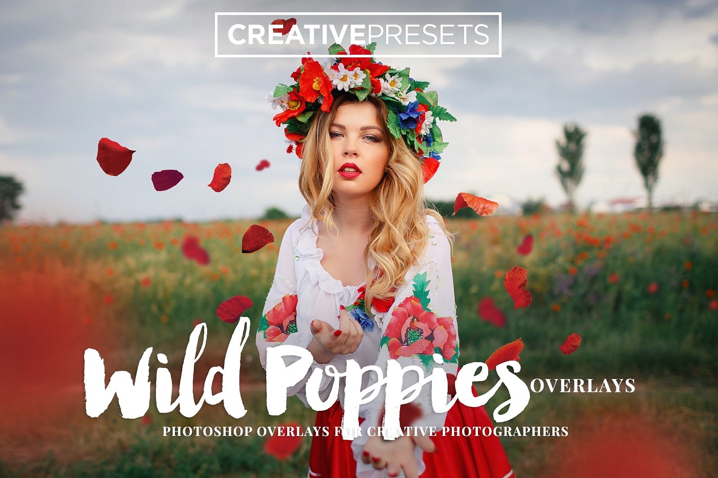 野生罂粟叶覆盖层Wild Poppies Photo Ove