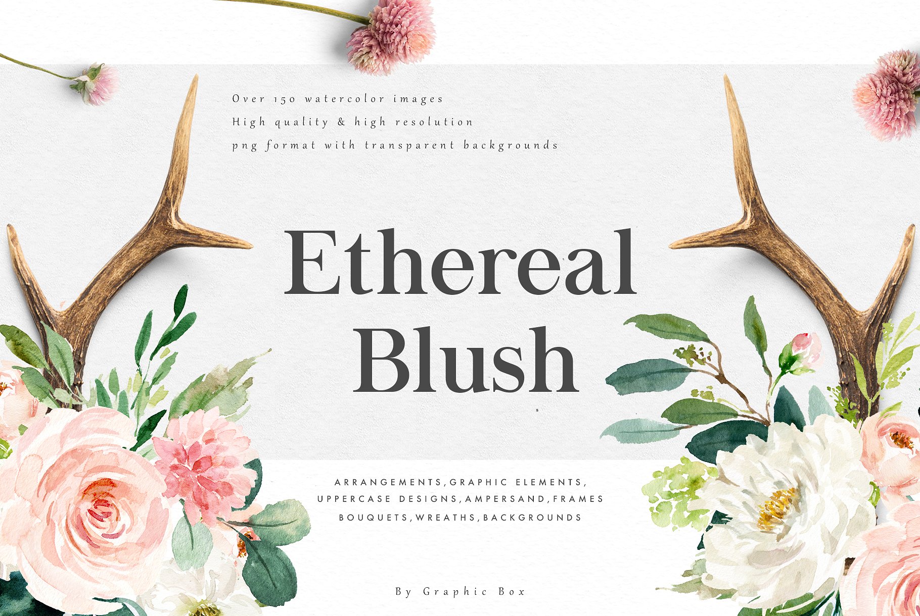 手绘水彩花卉植物设计素材Ethereal Blush-Flo