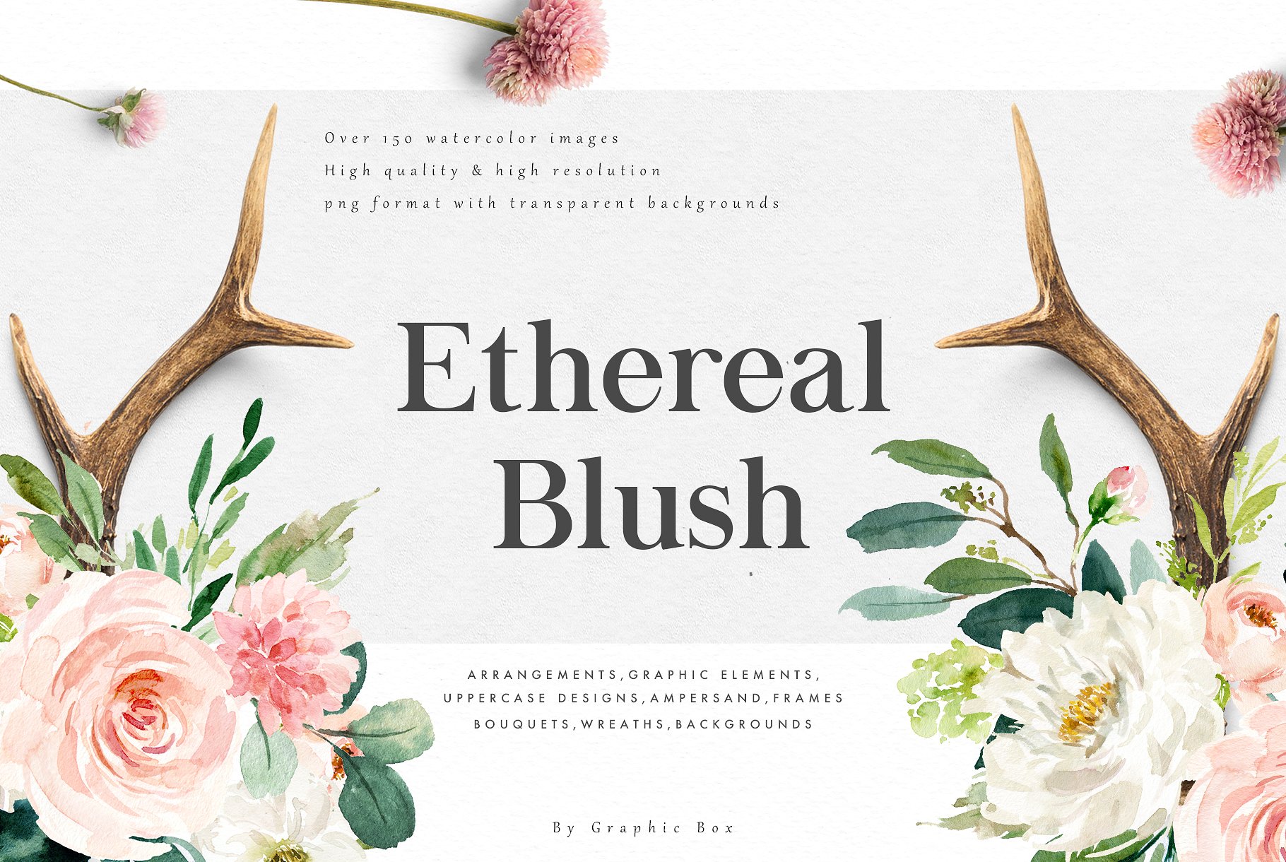 手绘水彩花卉字母设计元素Ethereal Blush-Flo