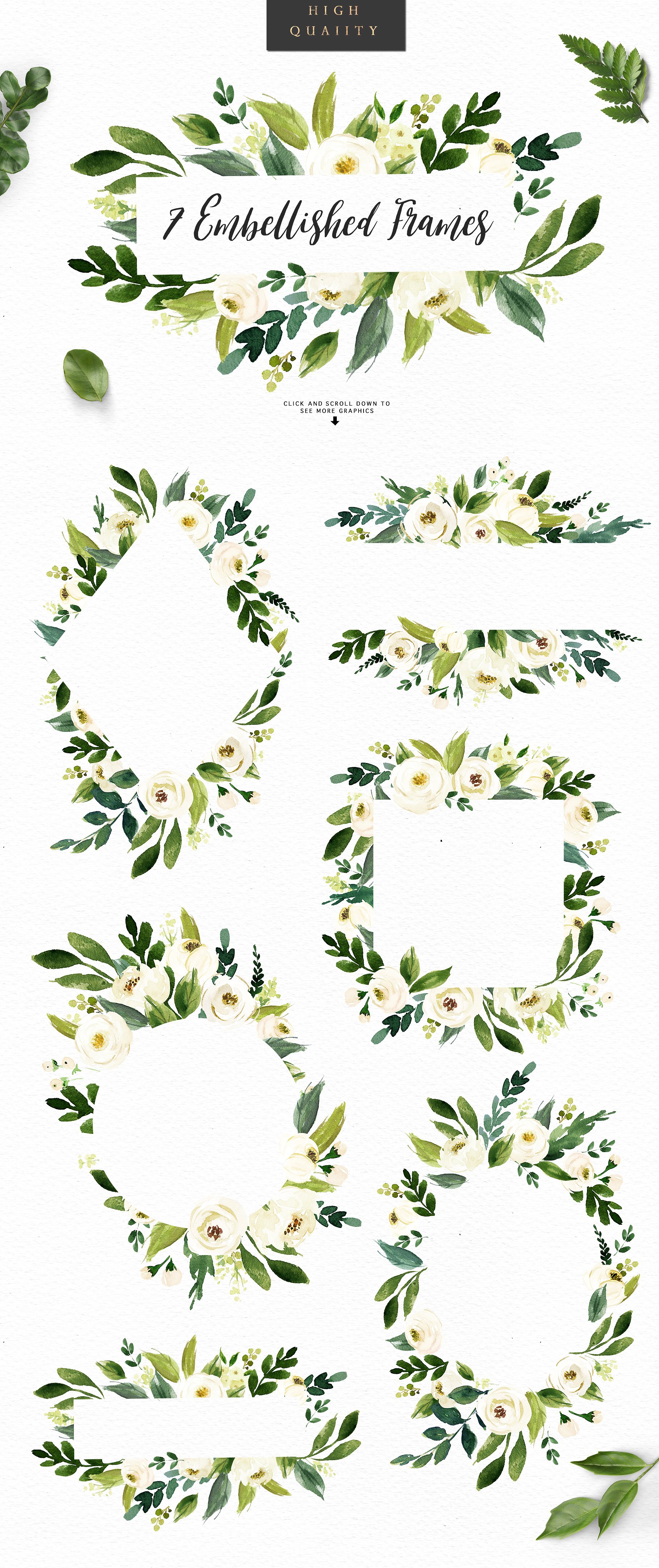 手绘水彩花卉植物设计素材Watercolor White F