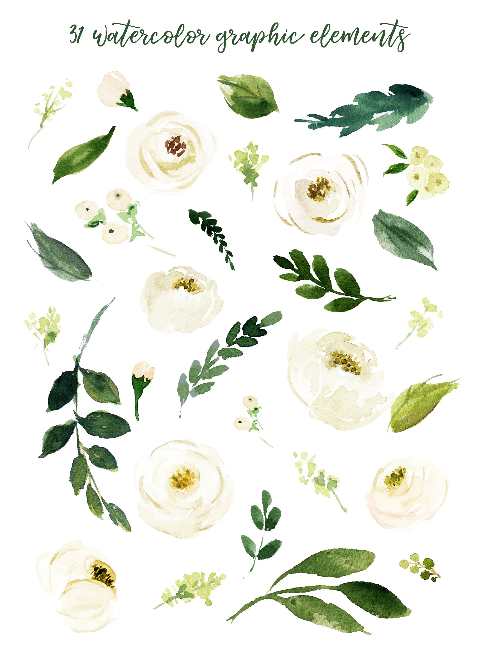 手绘水彩白玫瑰设计素材Watercolor White Fl
