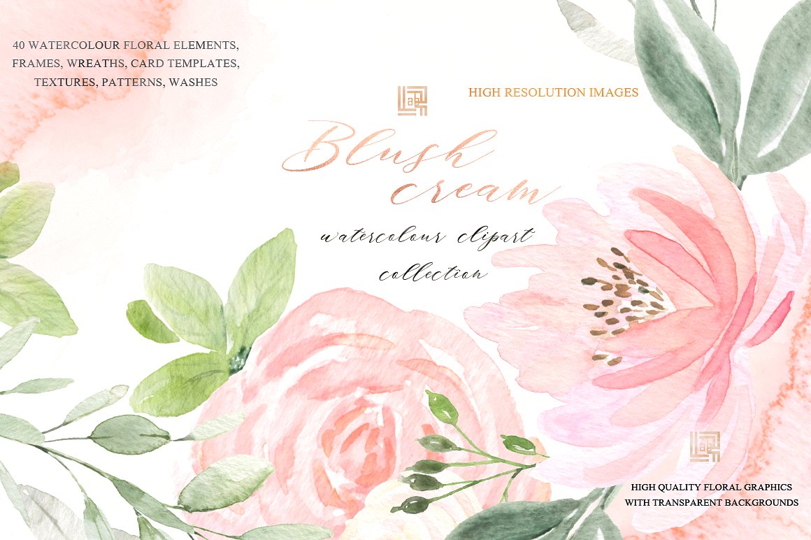 手绘粉红色花卉植物设计素材Blush cream. Feme