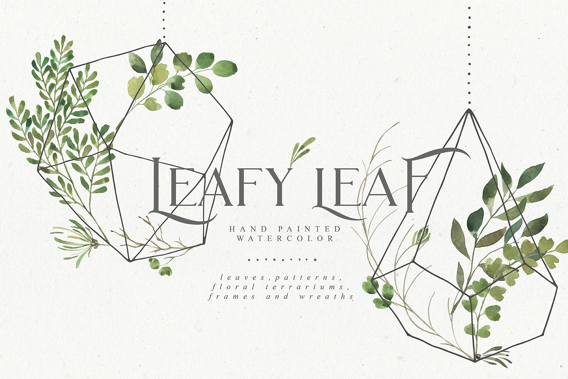 繁茂的水彩树叶元素、相框、纹理素材包 Leafy Leaf