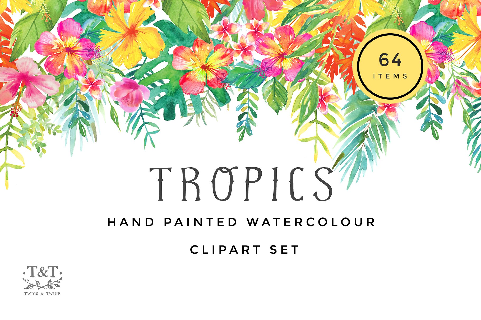 手绘水彩热带植物设计素材Watercolour Clipar